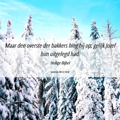 Picture 06 - Genesis 40:22 NLD - Maar den overste der bakkers hing hij op; gelijk - Bible Verse Picture