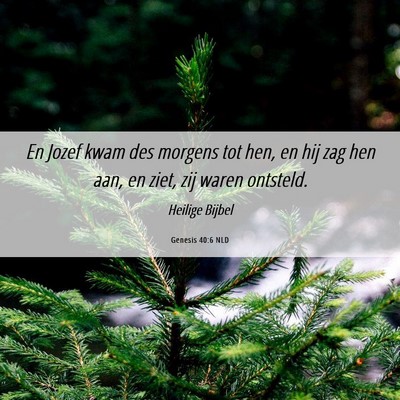Picture 06 - Genesis 40:6 NLD - En Jozef kwam des morgens tot hen, en hij zag hen - Bible Verse Picture