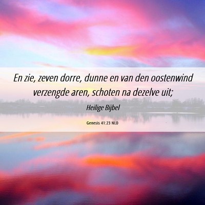 Picture 06 - Genesis 41:23 NLD - En zie, zeven dorre, dunne en van den oostenwind - Bible Verse Picture