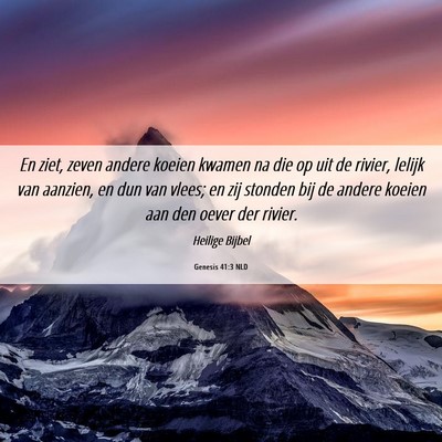 Picture 06 - Genesis 41:3 NLD - En ziet, zeven andere koeien kwamen na die op uit - Bible Verse Picture