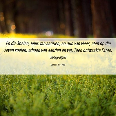 Picture 06 - Genesis 41:4 NLD - En die koeien, lelijk van aanzien, en dun van - Bible Verse Picture