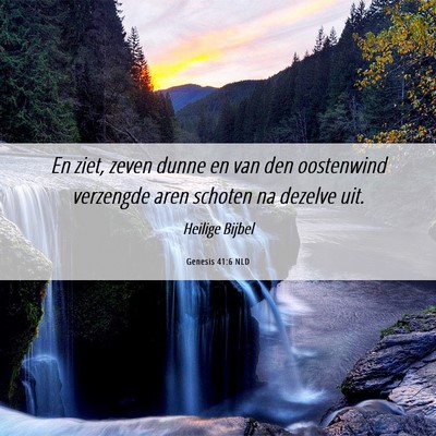 Picture 06 - Genesis 41:6 NLD - En ziet, zeven dunne en van den oostenwind - Bible Verse Picture