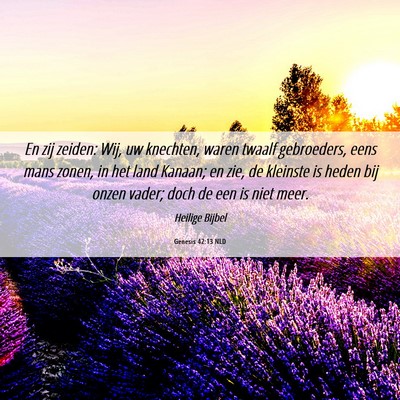 Picture 06 - Genesis 42:13 NLD - En zij zeiden: Wij, uw knechten, waren twaalf - Bible Verse Picture