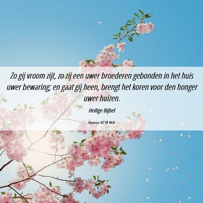 Picture 06 - Genesis 42:19 NLD - Zo gij vroom zijt, zo zij een uwer broederen - Bible Verse Picture
