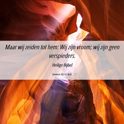 Picture 06 - Genesis 42:31 NLD - Maar wij zeiden tot hem: Wij zijn vroom; wij zijn - Bible Verse Picture