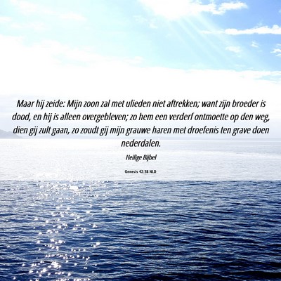 Picture 06 - Genesis 42:38 NLD - Maar hij zeide: Mijn zoon zal met ulieden niet - Bible Verse Picture