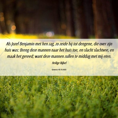 Picture 06 - Genesis 43:16 NLD - Als Jozef Benjamin met hen zag, zo zeide hij tot - Bible Verse Picture