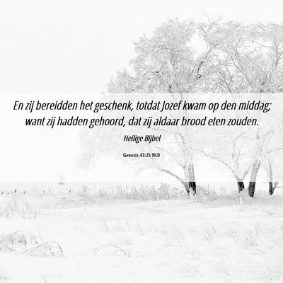 Picture 06 - Genesis 43:25 NLD - En zij bereidden het geschenk, totdat Jozef kwam - Bible Verse Picture