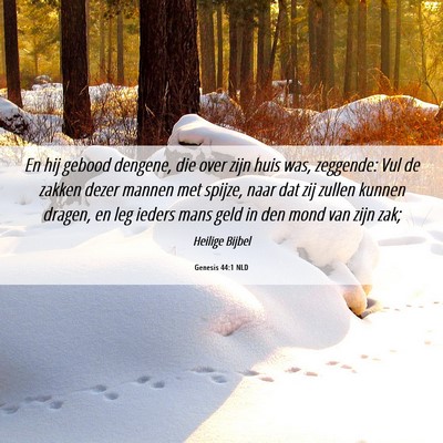 Picture 06 - Genesis 44:1 NLD - En hij gebood dengene, die over zijn huis was, - Bible Verse Picture