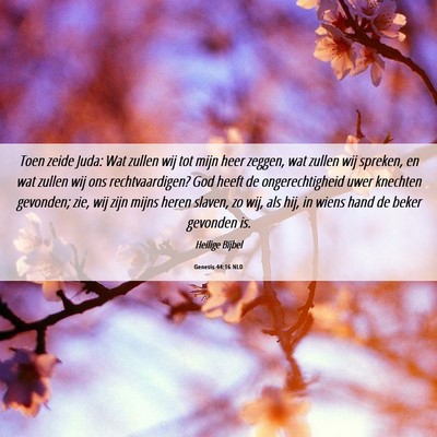 Picture 06 - Genesis 44:16 NLD - Toen zeide Juda: Wat zullen wij tot mijn heer - Bible Verse Picture