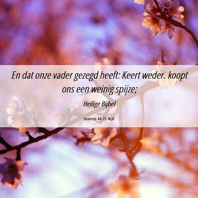 Picture 06 - Genesis 44:25 NLD - En dat onze vader gezegd heeft: Keert weder. - Bible Verse Picture