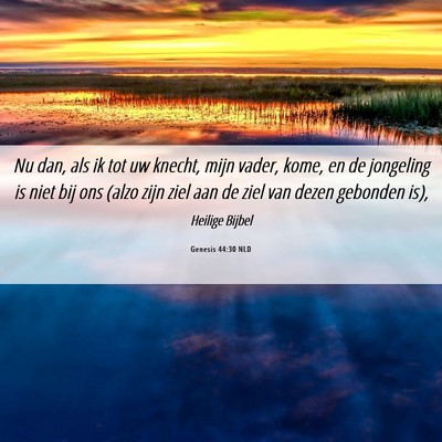 Picture 06 - Genesis 44:30 NLD - Nu dan, als ik tot uw knecht, mijn vader, kome, - Bible Verse Picture