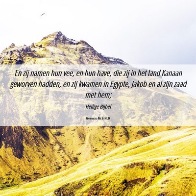 Picture 06 - Genesis 46:6 NLD - En zij namen hun vee, en hun have, die zij in het - Bible Verse Picture