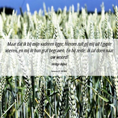 Picture 06 - Genesis 47:30 NLD - Maar dat ik bij mijn vaderen ligge; hierom zult - Bible Verse Picture