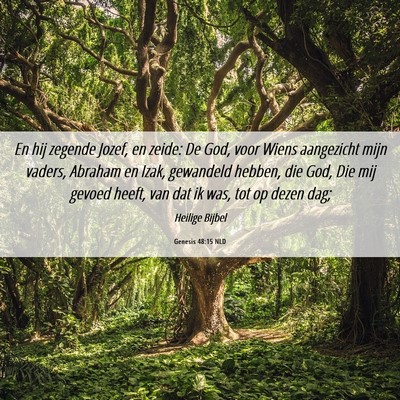 Picture 06 - Genesis 48:15 NLD - En hij zegende Jozef, en zeide: De God, voor - Bible Verse Picture