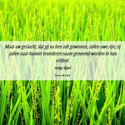 Picture 06 - Genesis 48:6 NLD - Maar uw geslacht, dat gij na hen zult gewinnen, - Bible Verse Picture