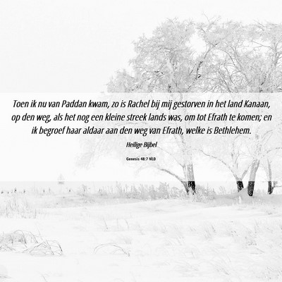 Picture 06 - Genesis 48:7 NLD - Toen ik nu van Paddan kwam, zo is Rachel bij mij - Bible Verse Picture