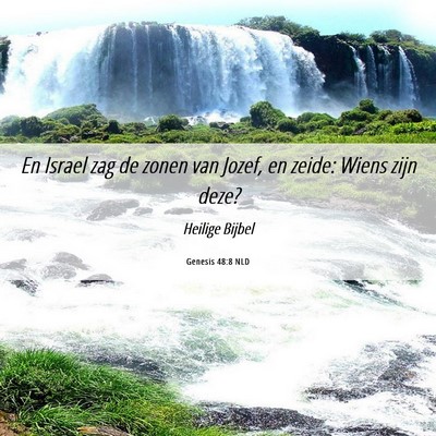 Picture 06 - Genesis 48:8 NLD - En Israel zag de zonen van Jozef, en zeide: Wiens - Bible Verse Picture