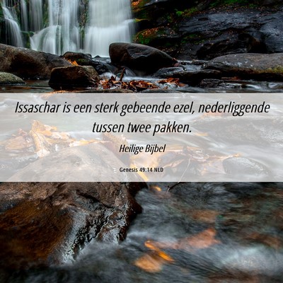 Picture 06 - Genesis 49:14 NLD - Issaschar is een sterk gebeende ezel, - Bible Verse Picture