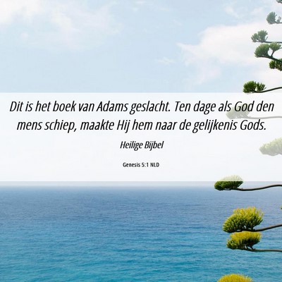 Picture 06 - Genesis 5:1 NLD - Dit is het boek van Adams geslacht. Ten dage als - Bible Verse Picture