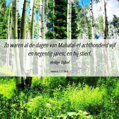 Picture 06 - Genesis 5:17 NLD - Zo waren al de dagen van Mahalal-el achthonderd - Bible Verse Picture