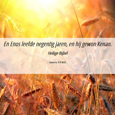 Picture 06 - Genesis 5:9 NLD - En Enos leefde negentig jaren, en hij gewon - Bible Verse Picture