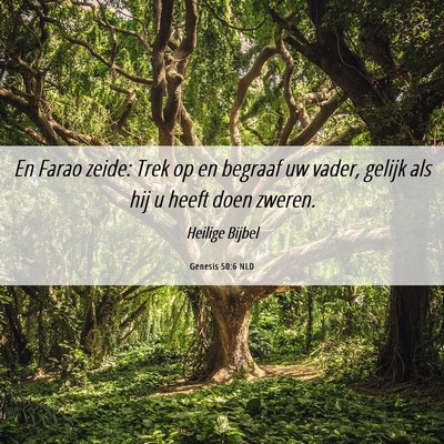 Picture 06 - Genesis 50:6 NLD - En Farao zeide: Trek op en begraaf uw vader, - Bible Verse Picture