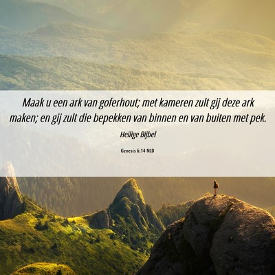 Picture 06 - Genesis 6:14 NLD - Maak u een ark van goferhout; met kameren zult - Bible Verse Picture