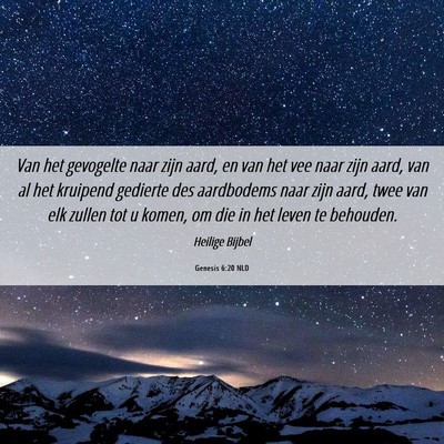 Picture 06 - Genesis 6:20 NLD - Van het gevogelte naar zijn aard, en van het vee - Bible Verse Picture