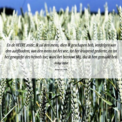 Picture 06 - Genesis 6:7 NLD - En de HEERE zeide: Ik zal den mens, dien Ik - Bible Verse Picture