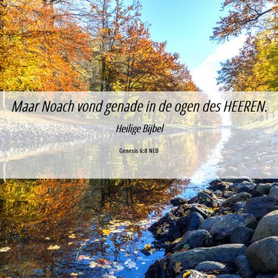 Picture 06 - Genesis 6:8 NLD - Maar Noach vond genade in de ogen des - Bible Verse Picture