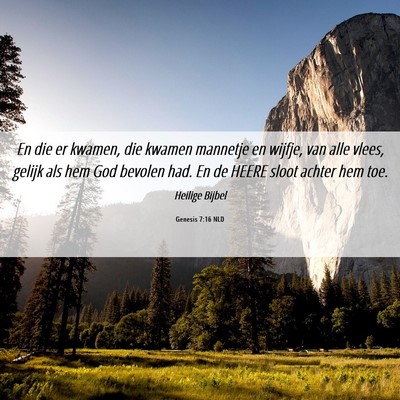 Picture 06 - Genesis 7:16 NLD - En die er kwamen, die kwamen mannetje en wijfje, - Bible Verse Picture