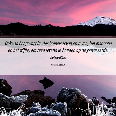 Picture 06 - Genesis 7:3 NLD - Ook van het gevogelte des hemels zeven en zeven, - Bible Verse Picture