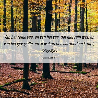 Picture 06 - Genesis 7:8 NLD - Van het reine vee, en van het vee, dat niet rein - Bible Verse Picture