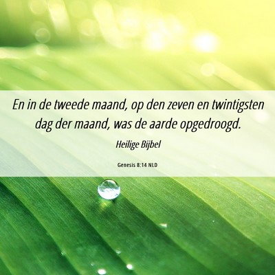 Picture 06 - Genesis 8:14 NLD - En in de tweede maand, op den zeven en - Bible Verse Picture