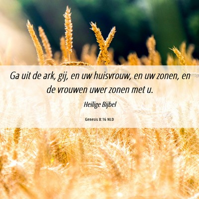 Picture 06 - Genesis 8:16 NLD - Ga uit de ark, gij, en uw huisvrouw, en uw zonen, - Bible Verse Picture