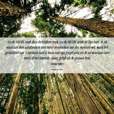 Picture 06 - Genesis 8:21 NLD - En de HEERE rook dien liefelijken reuk, en de - Bible Verse Picture