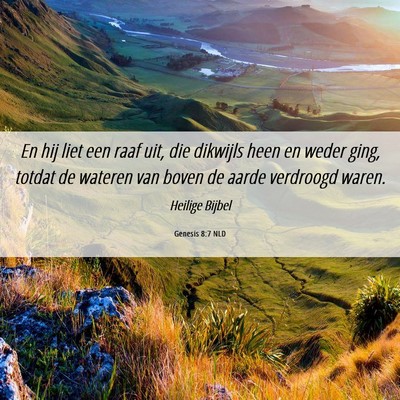 Picture 06 - Genesis 8:7 NLD - En hij liet een raaf uit, die dikwijls heen en - Bible Verse Picture