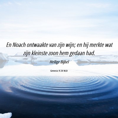 Picture 06 - Genesis 9:24 NLD - En Noach ontwaakte van zijn wijn; en hij merkte - Bible Verse Picture