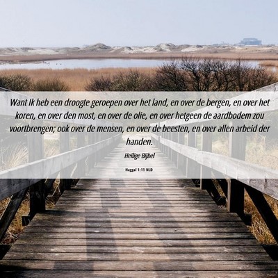 Picture 06 - Haggaï 1:11 NLD - Want Ik heb een droogte geroepen over het land, - Bible Verse Picture