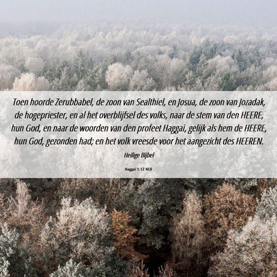 Picture 06 - Haggaï 1:12 NLD - Toen hoorde Zerubbabel, de zoon van Sealthiel, en - Bible Verse Picture