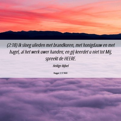 Picture 06 - Haggaï 2:17 NLD - (2:18) Ik sloeg ulieden met brandkoren, met - Bible Verse Picture
