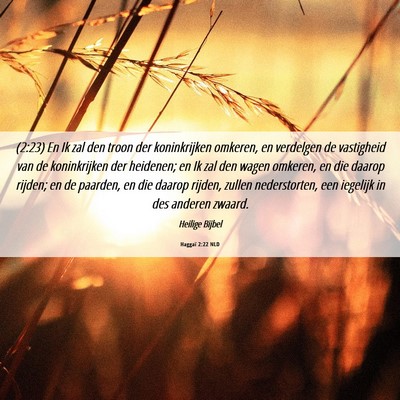 Picture 06 - Haggaï 2:22 NLD - (2:23) En Ik zal den troon der koninkrijken - Bible Verse Picture