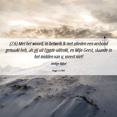 Picture 06 - Haggaï 2:5 NLD - (2:6) Met het woord, in hetwelk Ik met ulieden - Bible Verse Picture