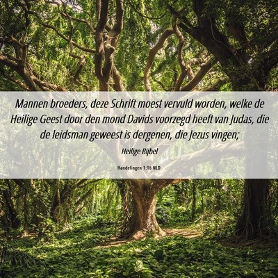 Picture 06 - Handelingen 1:16 NLD - Mannen broeders, deze Schrift moest vervuld - Bible Verse Picture