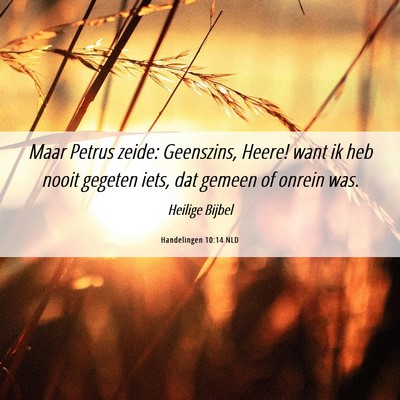Picture 06 - Handelingen 10:14 NLD - Maar Petrus zeide: Geenszins, Heere! want ik heb - Bible Verse Picture
