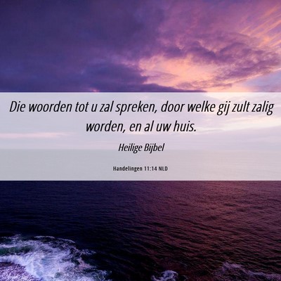 Picture 06 - Handelingen 11:14 NLD - Die woorden tot u zal spreken, door welke gij - Bible Verse Picture