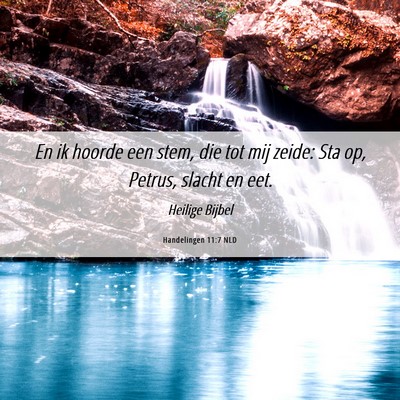 Picture 06 - Handelingen 11:7 NLD - En ik hoorde een stem, die tot mij zeide: Sta op, - Bible Verse Picture
