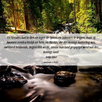 Picture 06 - Handelingen 12:20 NLD - En Herodes had in den zin tegen de Tyriers en - Bible Verse Picture