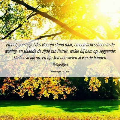 Picture 06 - Handelingen 12:7 NLD - En ziet, een engel des Heeren stond daar, en een - Bible Verse Picture